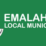 TRAFFIC OFFICER (X18)